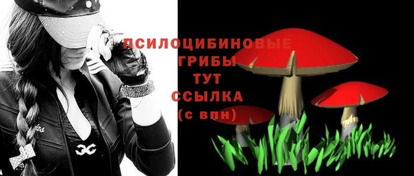 мескалин Белокуриха