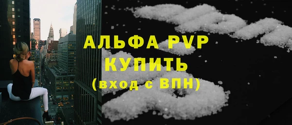сатива Богданович