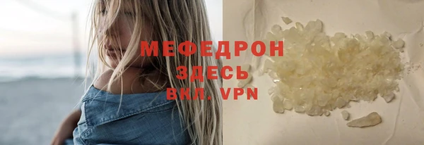 spice Богородицк