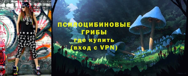 гидропоника Богородск